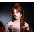 Dance of the Vampires Sharon Tate Photo